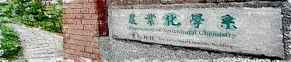 首頁大圖