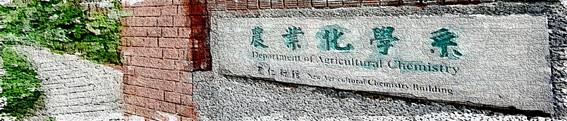 首頁大圖